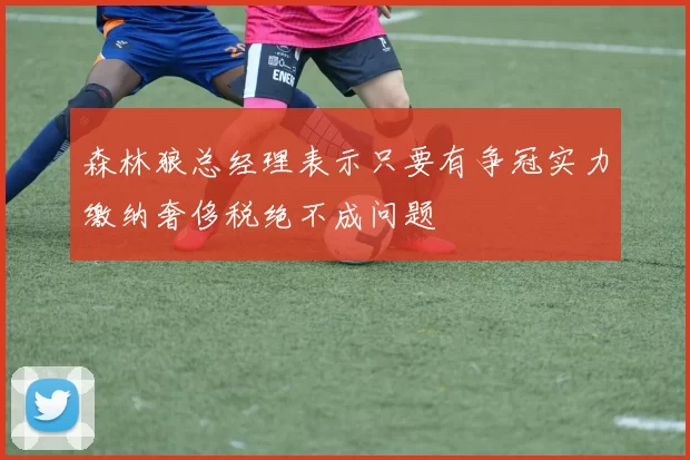 森林狼总经理表示只要有争冠实力缴纳奢侈税绝不成问题
